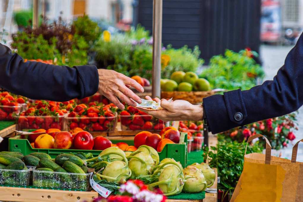 different-food-assistance-programs